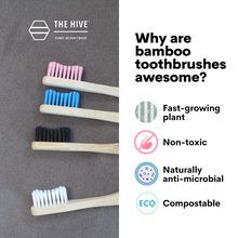 Load image into Gallery viewer, why bamboo toothbrush is sustainable?