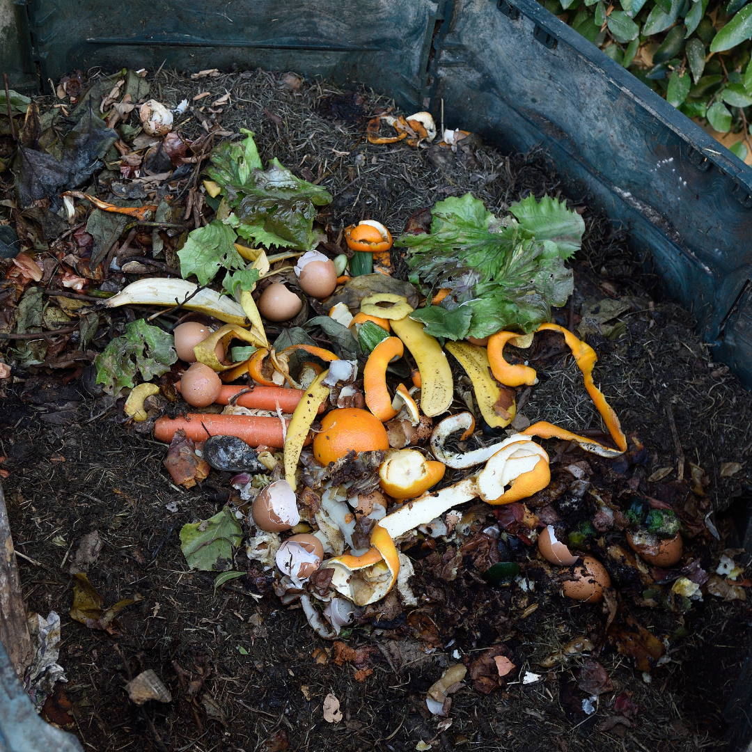 What is Composting For Beginners? - Thehivebulkfoods