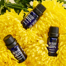 Load image into Gallery viewer, The Hive Essential Oils (10ml)
