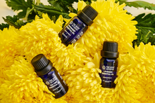 Load image into Gallery viewer, Revive Blend Essential Oil - Thehivebulkfoods
